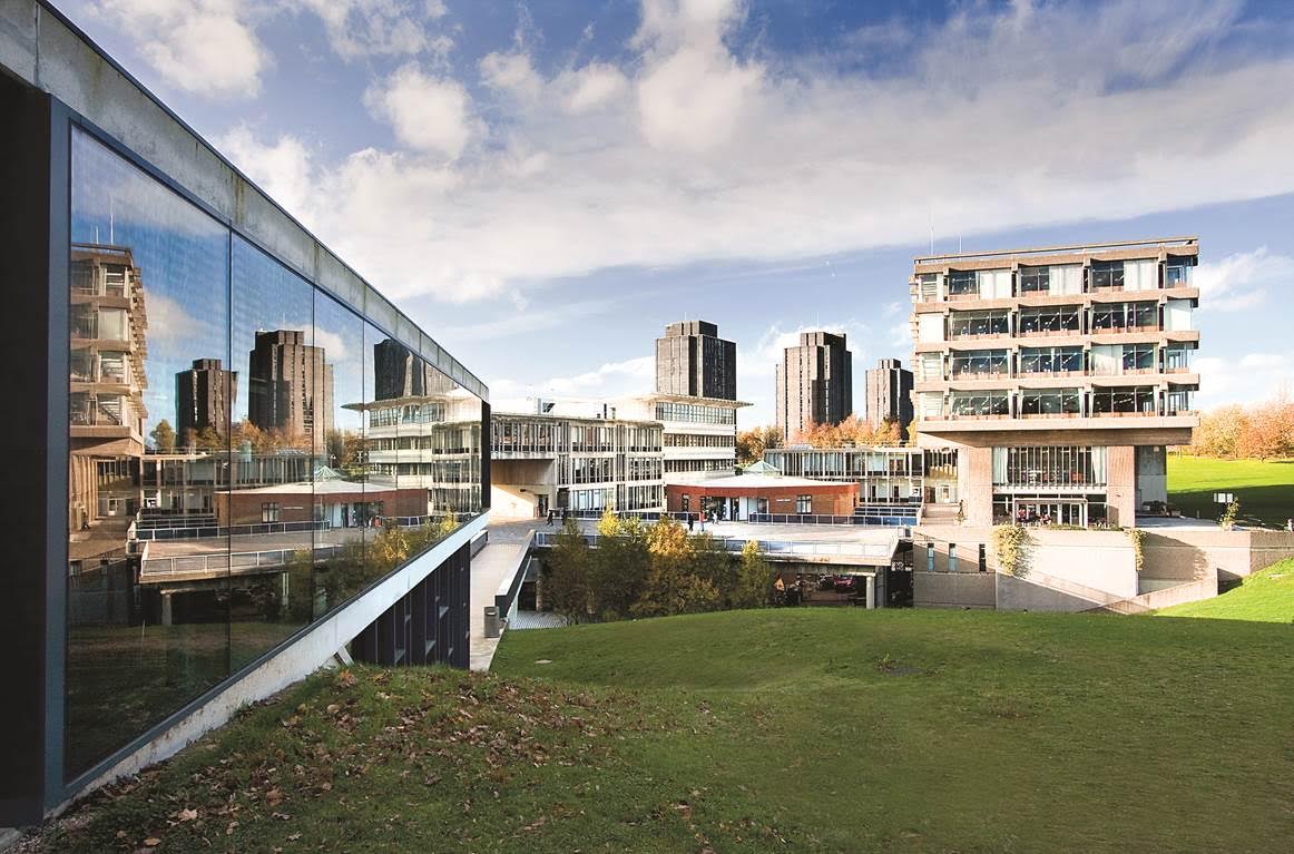 IFG Foundation Programmes