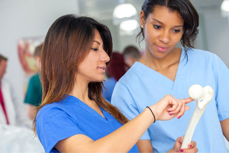 Medical Foundation Programme