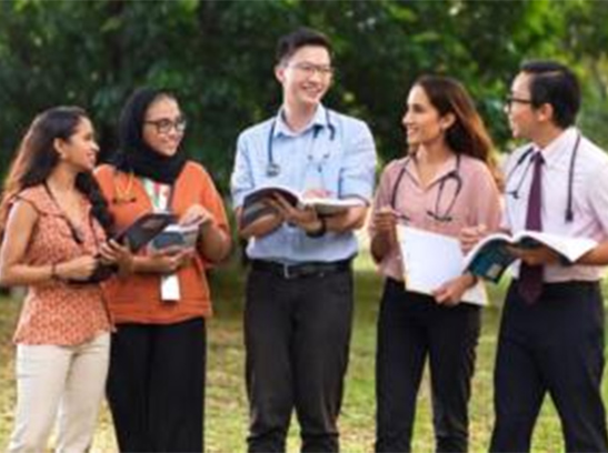 Medical Foundation Programme