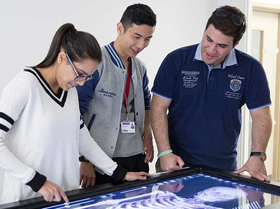 IFG Medical Foundation Programme